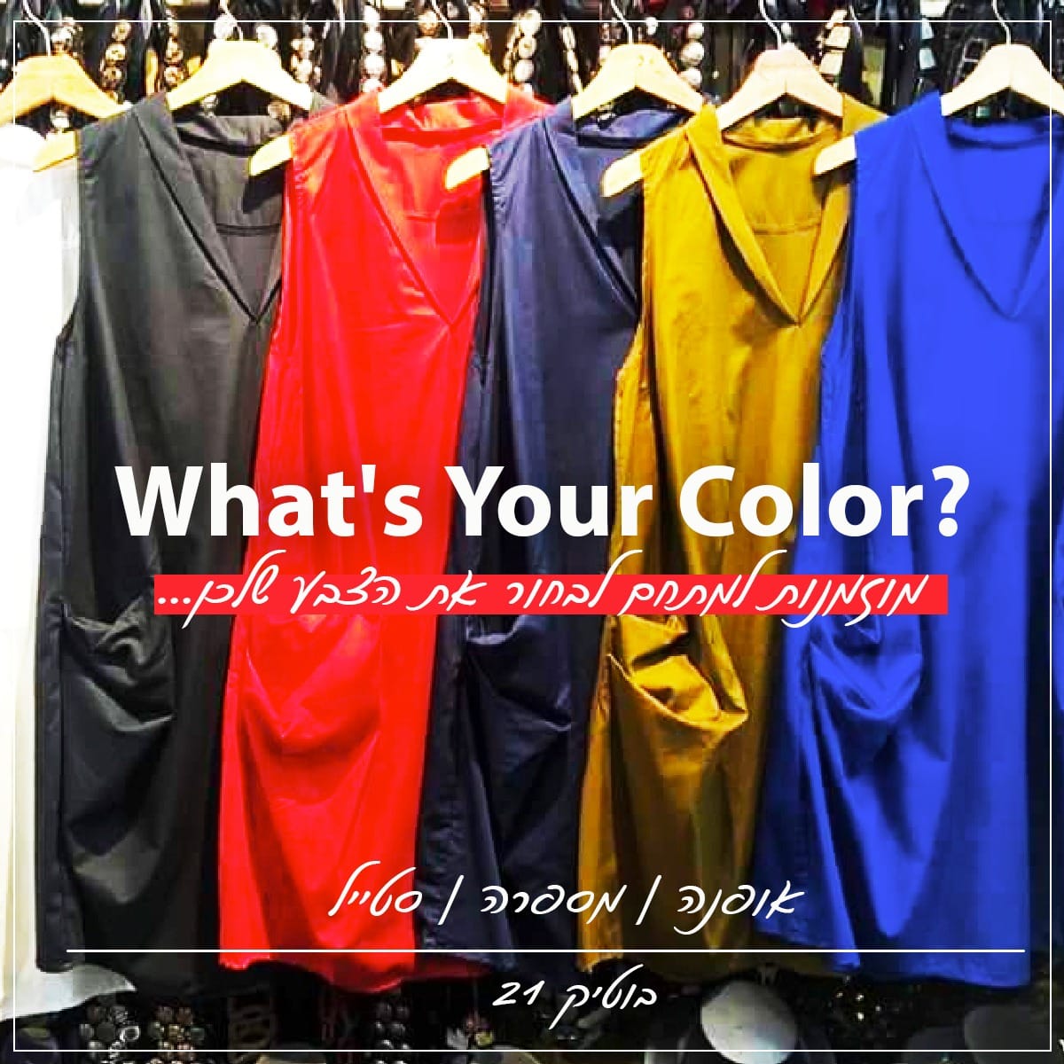 STUDIO 21 – Pola-V